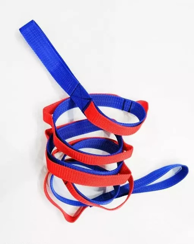 Fitcozi Yoga Bands for Yoga 10 loop Yoga Belt Extra Safe Adjustable Polyester Yoga Strap(Blue, Red)