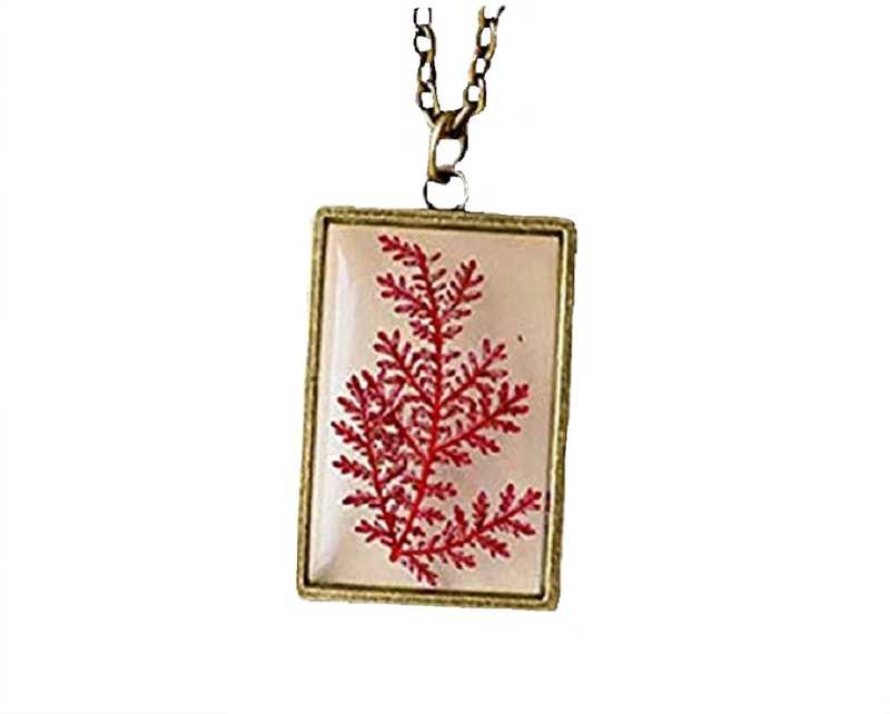 Girlz Red Fern Glass Real Dried Flower Pendant Necklace With Chain For Women Alloy In India - Real Flower Pendant India