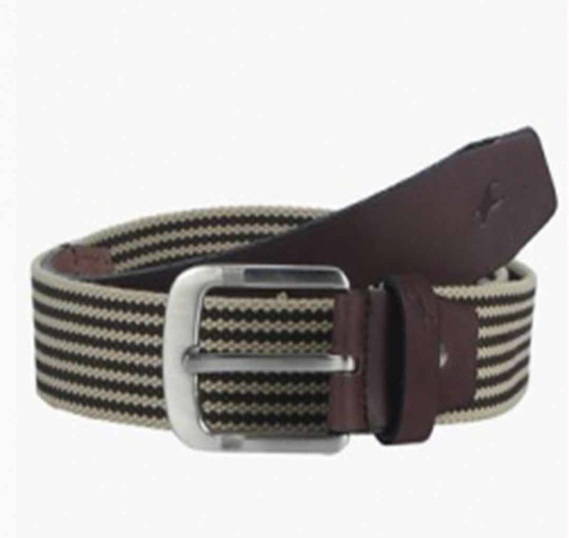 fastrack belts flipkart