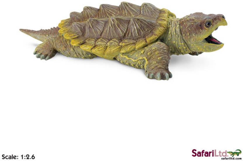 Safari Ltd Ic Alligator Snapping Turtle - Ic Alligator Snapping Turtle