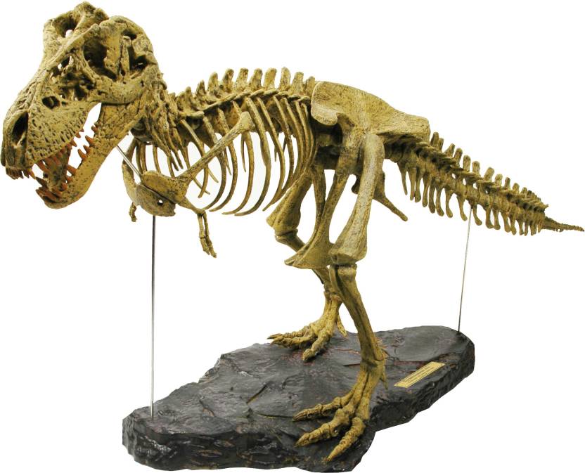 Geoworld T-rex Skeleton - T-rex Skeleton . Buy T-rex toys in India ...