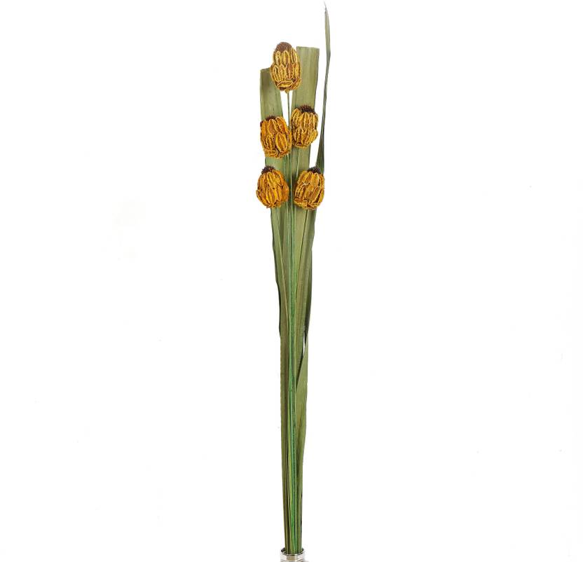home Solitary Medium Multicolor Dried Sticks Artificial Flower Price