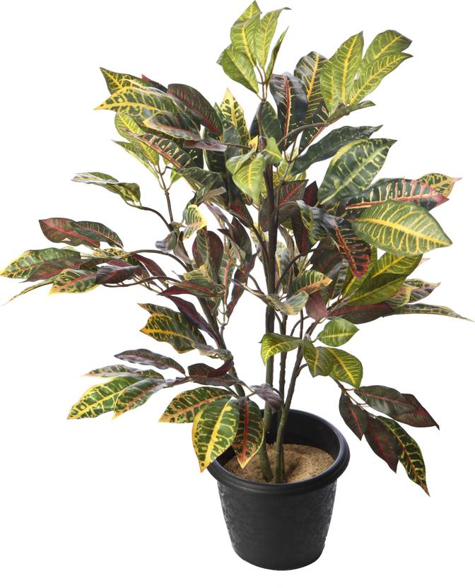 Kusal 2 croton Wild Artificial Plant with Pot Price in India Buy