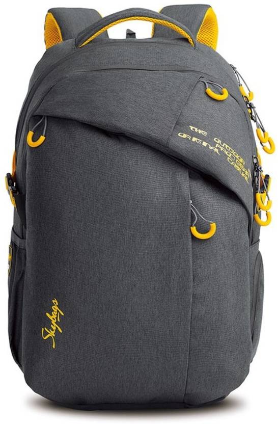Skybags ION 02 Grey 36 L Backpack Grey Price in India