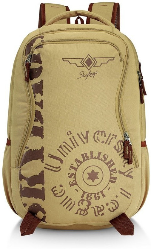 SKYBAGS Raider 02 Brown 26 L Backpack 