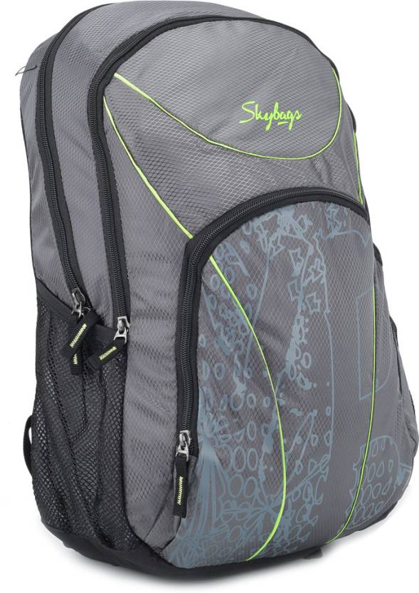 Skybags Beetle 01 Laptop Backpack Grey - Price in India | Flipkart.com