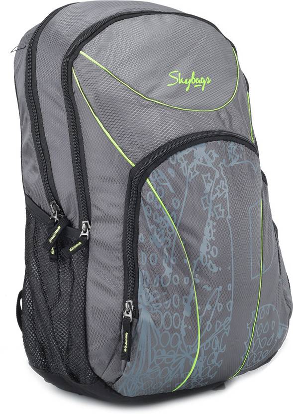 Skybags Beetle 01 Laptop Backpack Grey Price in India