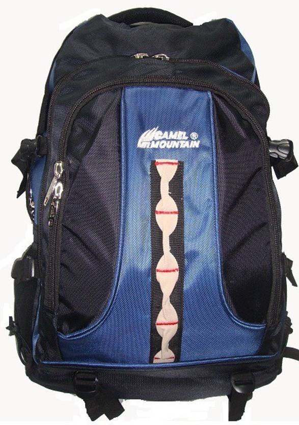 Flipkart.com | Camel Mountain Bags 701 Waterproof School Bag - School Bag