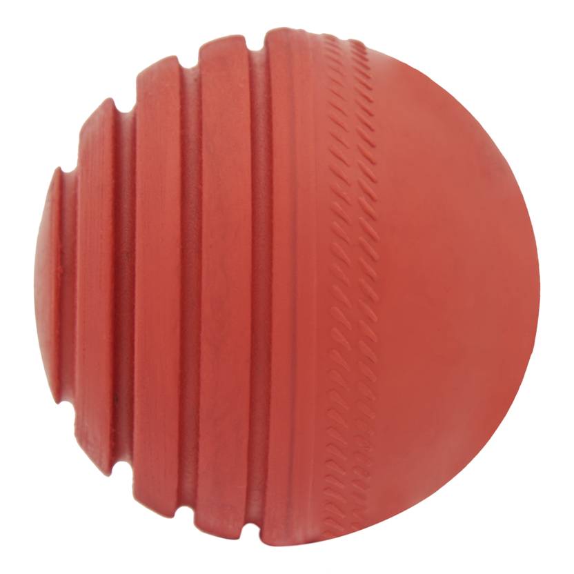 omtex Wobble Ball Cricket Leather Ball Buy omtex Wobble Ball Cricket