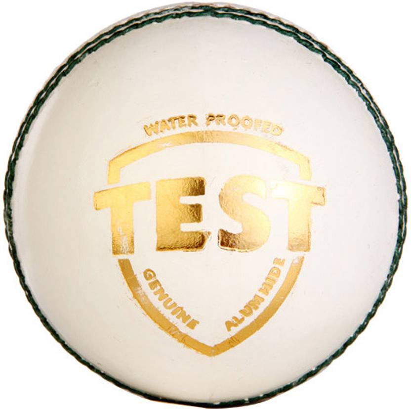 SG Test White Cricket Leather Ball Buy SG Test White Cricket Leather