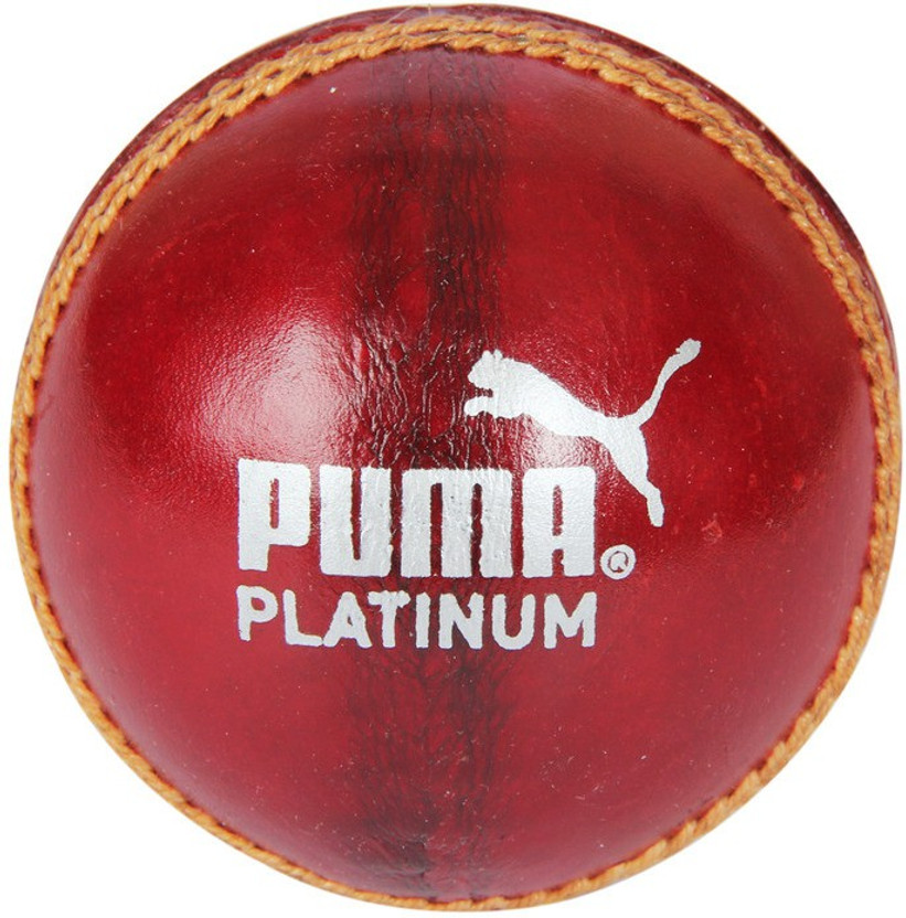 everlast black trainers