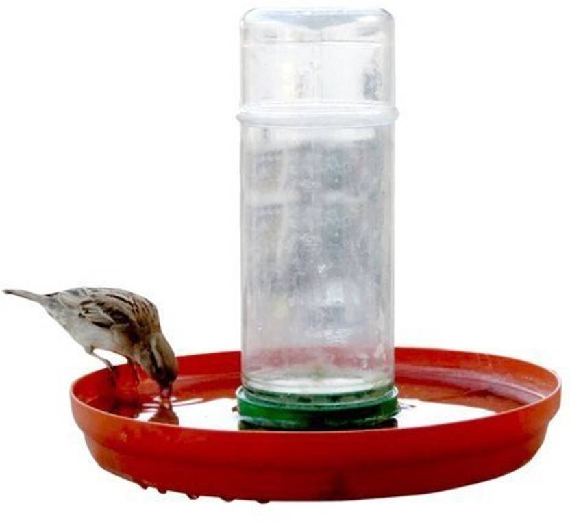 Amijivdaya Window Bird Feeder Bird Feeder Price In India Buy