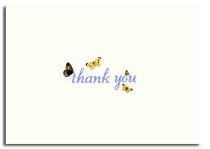 flutter thank you cards buy flutter thank you cards by author