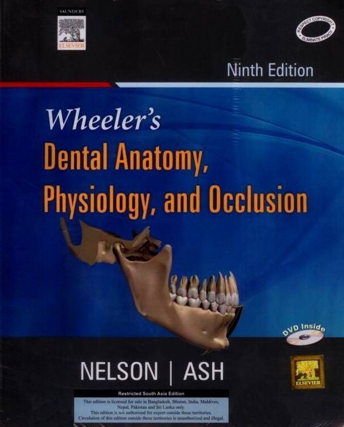 Wheelers Dental Anatomy Physiology And Occlusion 9Th Ninth Edition New 2020