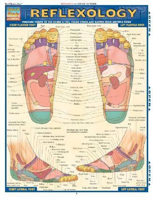 Reflexology Laminated Reference Guide 1 Chrt Edition Buy - 