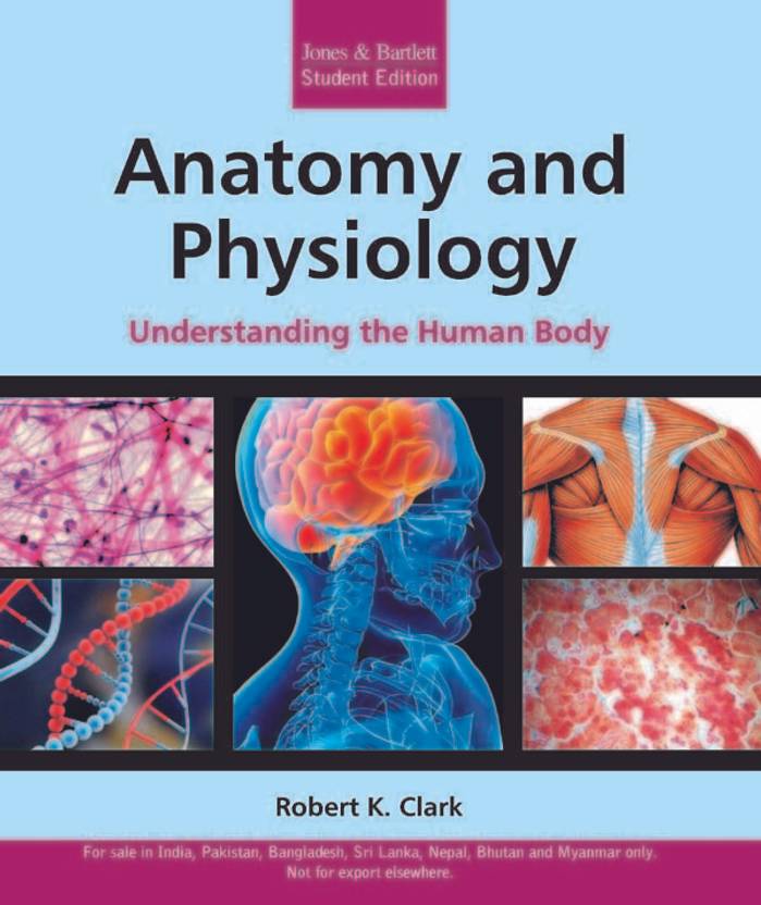 Anatomy and Physiology: Understanding the Human Body: Buy Anatomy and ...