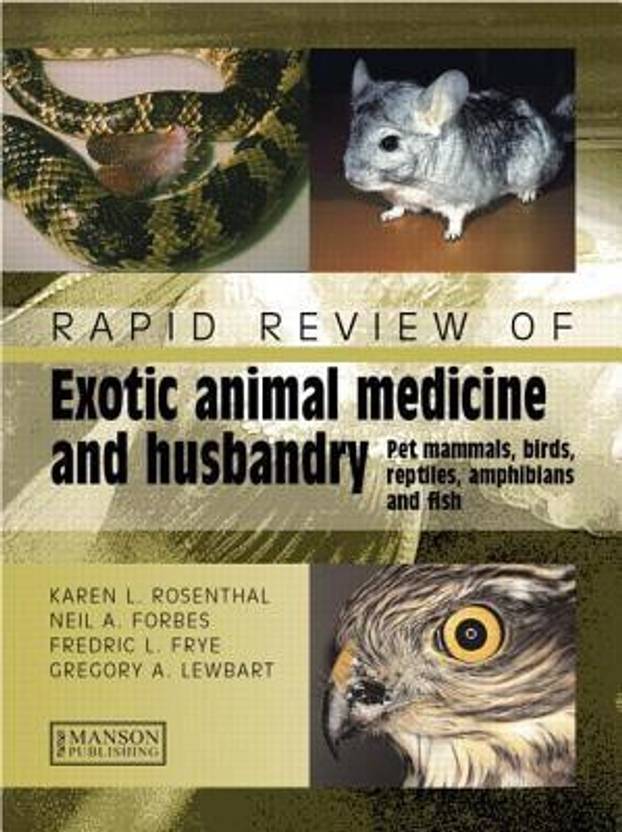 Exotic pet malaysia