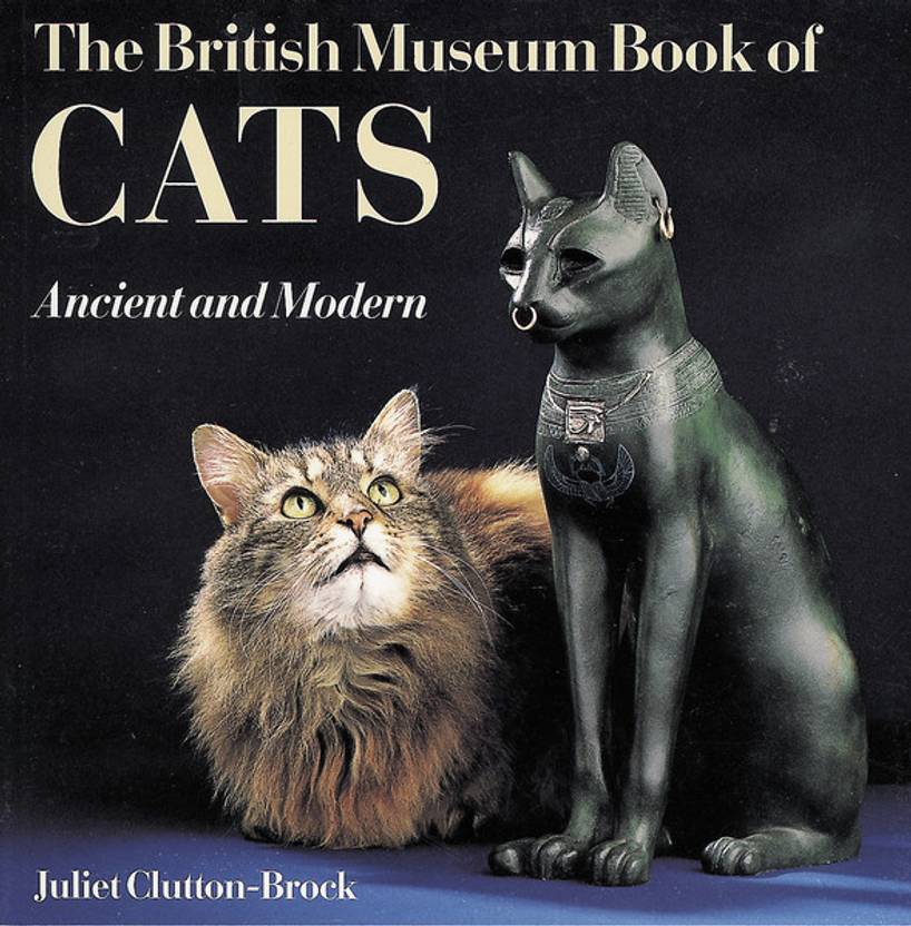 Cat Book English Edition Free Epub Cambridge Ielts Book 1 Pdf