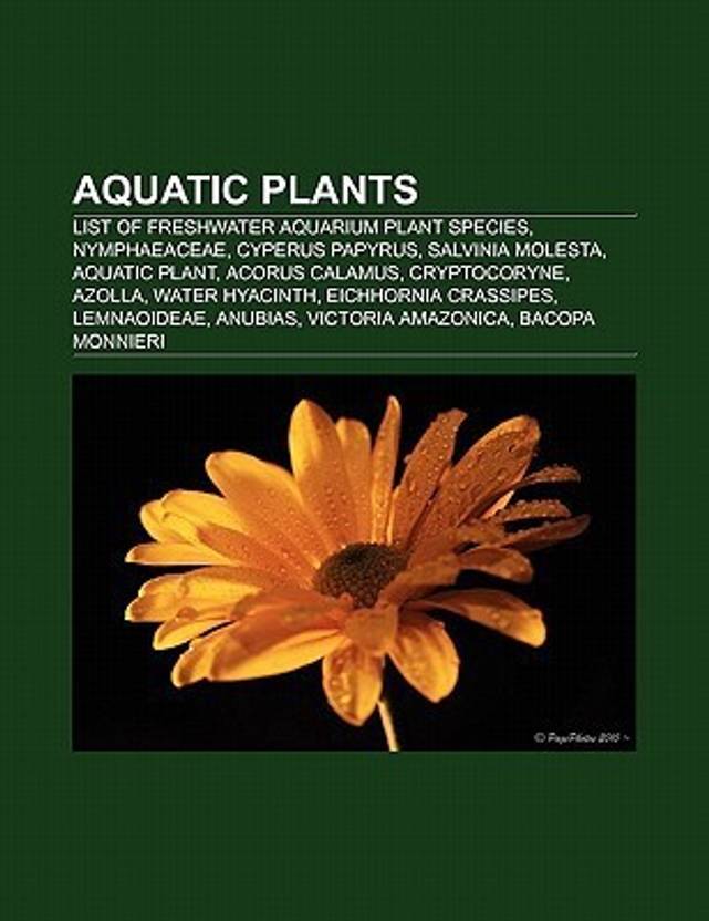 aquatic plants list of