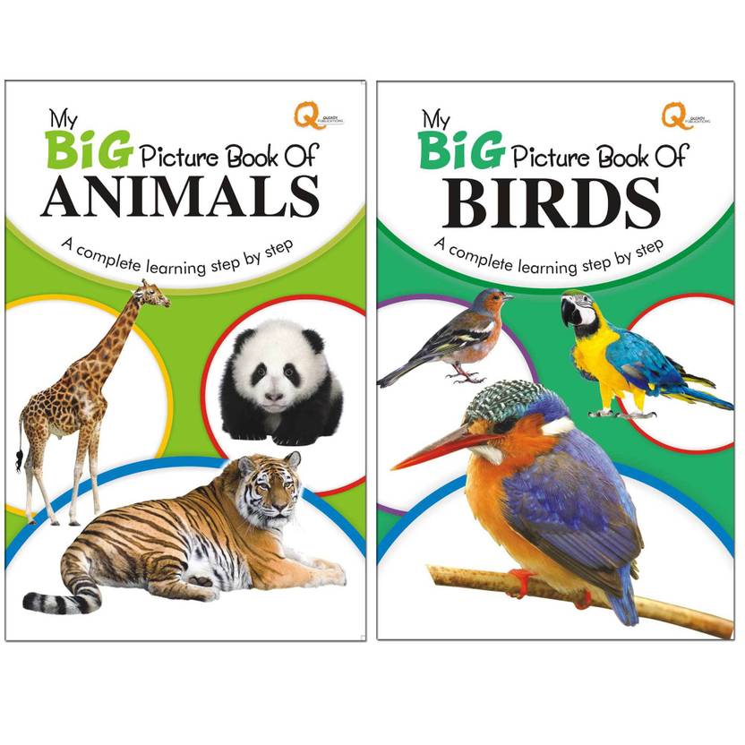 My Big Picture Book Of Animals & Birds (Combo of 2 Books): Buy My Big ...