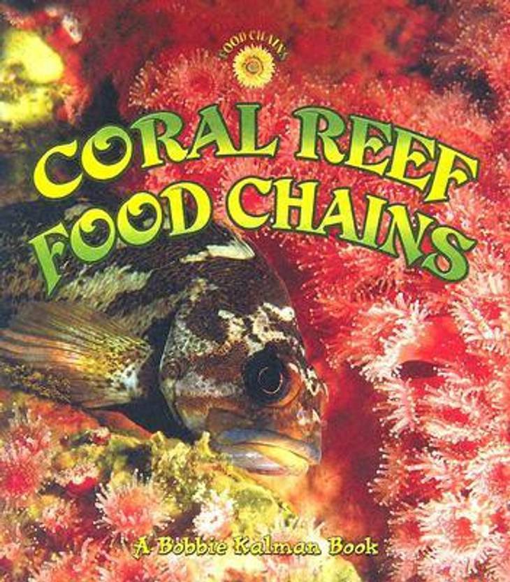 coral reef food chains
