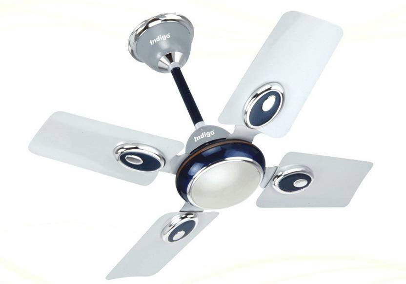 Indigo Small Wonder 600mm 24 4 Blade Ceiling Fan In India Indigo Small Wonder 600mm 24 4 Blade Ceiling Fan