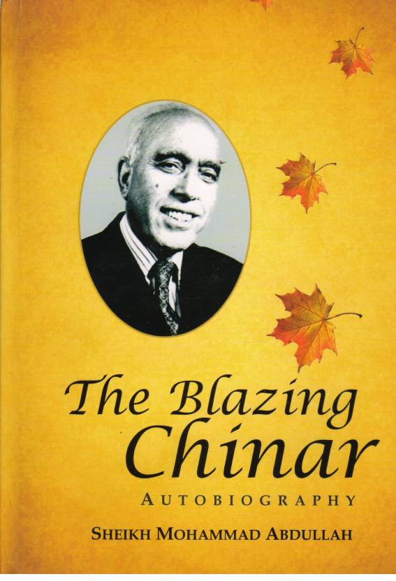 Image result for aatish e chinar book