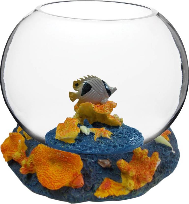 All4pets 0.5 L Fish Bowl Price in India Buy All4pets 0.5 L Fish Bowl