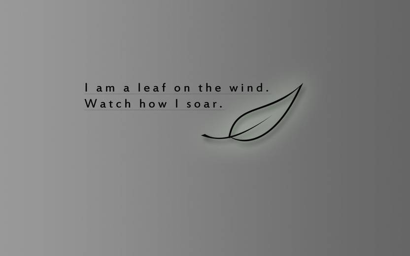 medium-blnrjqnm60-belucky-firefly-fly-leaf-quotes-serenity-original-imaet7a3f8xe7rrw.jpeg?q=70