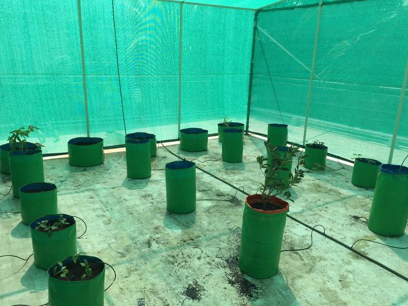 Evergreen Agro Shade Net 50 Shade Greenhouse Uv Stabilized Net