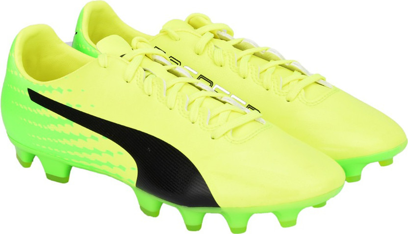 puma evospeed 17.2 fg