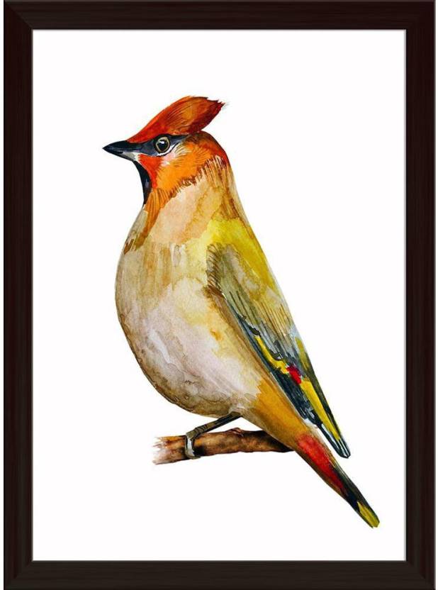 Artzfolio Watercolor Bird Framed Wall Art Painting Print Canvas 16.2 ...