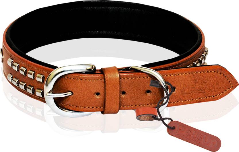 Petsup neck collar leather belt for labrador and puppy collars belts