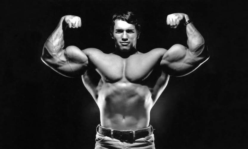 motivational office posters posters arnold poster gym motivational quotes for workout in collection motivational office posters posters arnold poster gym motivational quotes for workout in collection