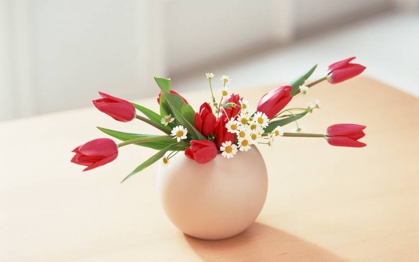 Flower Pot Poster Hd Wallpaper Background Fine Art Paper