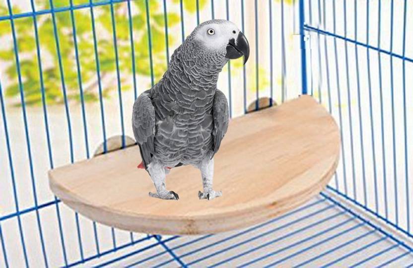 Page Large Vertical At Anokhe Collections 8 5 Inches 21 Cm Natural Wood Platform Cum Perch Stand Bird Toy