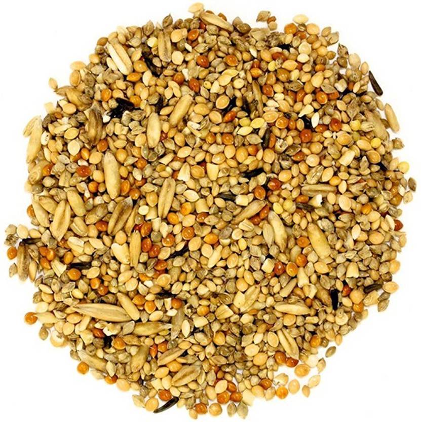 PetNest Premium Bird Feeder Mixed Seed Bird food- 450 gms ...