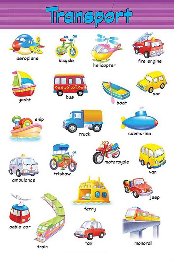 Poster Transport Name Chart Educational Poster Colorful