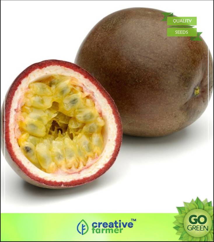 Wallpaper Creative Farmer Fruit Seeds Brazilian Passion Fruit Fruit Seeds Desktop Wallpaper Free