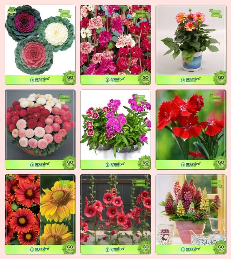 Creative Farmer Flower Seeds Nature Plants Combo