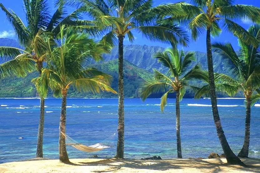 Poster Natural Poster Natural Scenery Poster Waterfall Forests