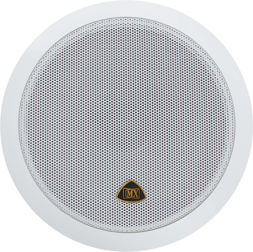 ceiling speakers india