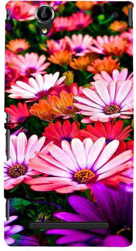 CHAPLOOS Back Cover for Sony Xperia T2 Ultra XM50h, Sony Xperia T2