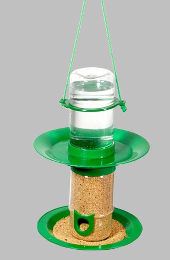 Budgies Breeding Shop Now