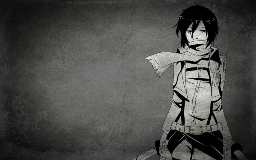 Pl Anime Mikasa Ackerman Shingeki No Kyojin Wall Poster 19