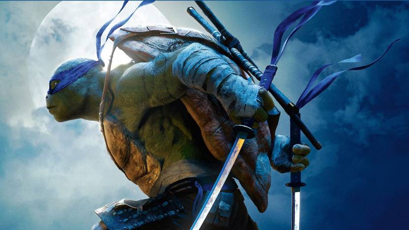 Pl Teenage Mutant Ninja Turtles Cool Wall Poster 13 19