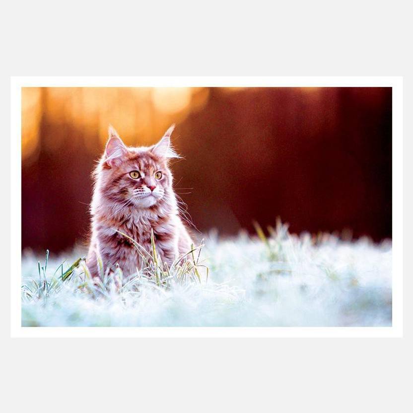 Crazyink Cat Gud Bokeh Effect Wall Poster 12 18 Inch