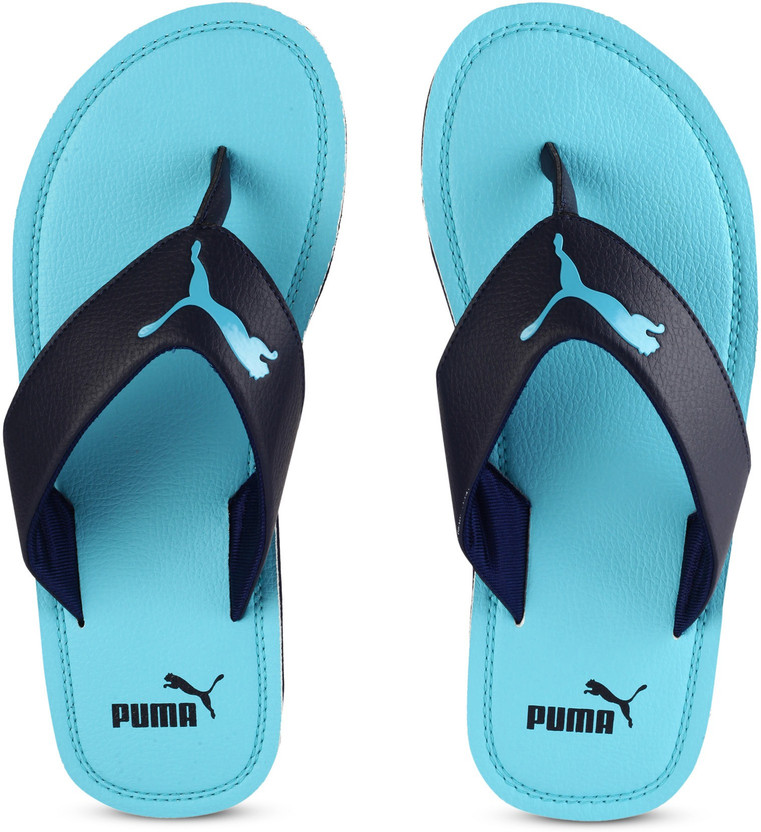 puma flash cat idp