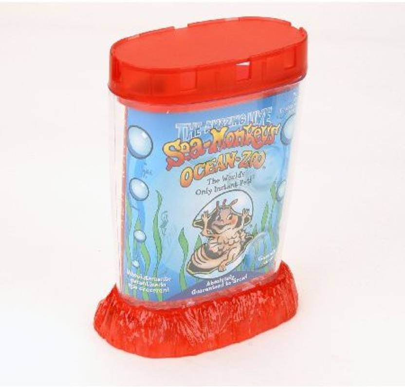 the amazing live sea monkeys ocean zoo