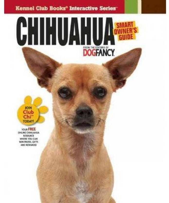 Chihuahua Dog Breed Price In India